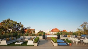 Penthouse - Roof top                              