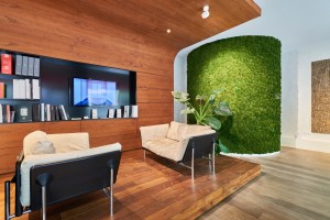 Showroom 8_1